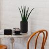 MUELODSIC 20pcs Miniature Table Chalkboard Sign with Rounded Corners Wooden Desktop Message Board for Coffee Bar Decor and Restaurant Menu Display view 3