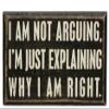 Primitives by Kathy 20515 Classic Box Sign, 5 x 3-Inches, Not Arguing view 1