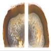 DesertUSA Agate Bookends, Polished Geode Bookends, Crystal Bookends, Bookends Made of Stone, Decorative Bookends, Home Dcor (Natural 2-3.5 lb) view 2