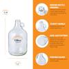 FastRack 1 Gallon Glass Jug with #6.5 Rubber Bungs & Twin Bubble Airlocks  Fermentation Jars for Home Brewing, Clear Glass Fermenter Containers for Liquid Fermentation view 3