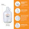 FastRack 1 gal Jug W/Twin bubble Airlock, Polyseal Lid, #6.5 Drilled Stopper view 3