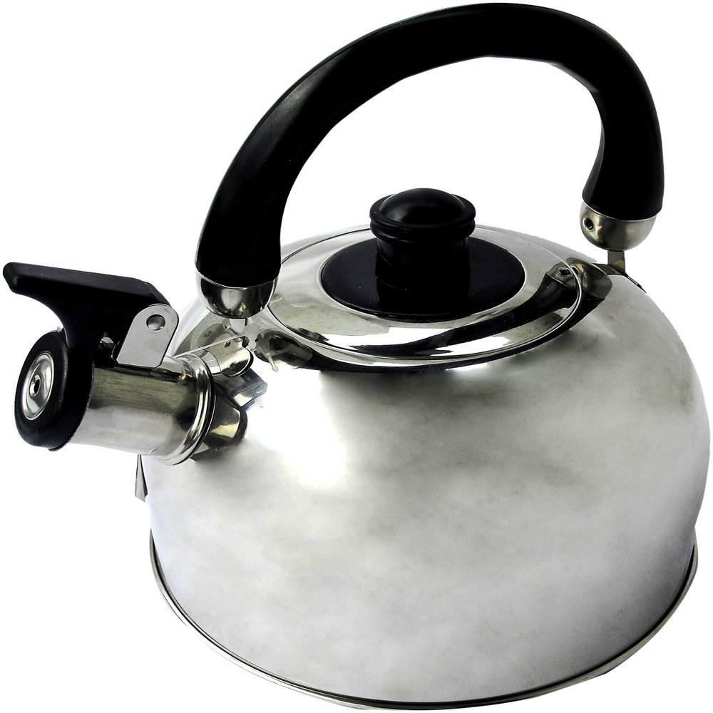 Benecasa Stainless Steel Tea Kettle with Whistling and Removable Lid, 2.5-Quart