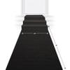 Beistle 2-Piece Carpet Runner in Black, Classic Party Decorations, Elegant Party Decor for Birthday, Award Night, Formal Event, 24" x 15' view 3