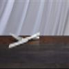 Lenox Cake Knife & Server Adorn Set, Silver view 3