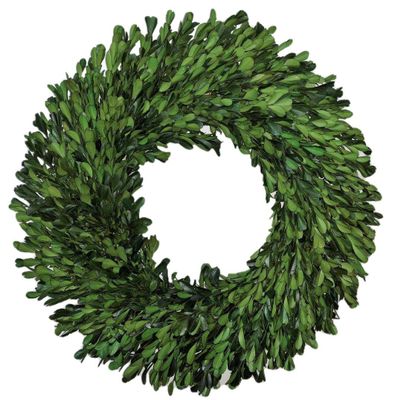 Tradingsmith Preserved Boxwood Wreath 14" - Wall Door Hanging Farmhouse and Rustic Decor