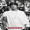 GB eye LTD LP1657 , Eminem, Collage, Maxi Poster, 61 x 91.5 cm, Wood, Multi-Colour for Living Room view 2