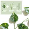 Yatim 78-Ft 12 Pack Silk Artificial Ivy Vines Leaf Garland Plants Hanging Wedding Garland Fake Foliage Flowers Home Kitchen Garden Office Wedding Wall Decor view 2