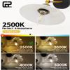 CRLight Dimmable 2W 2500K LED Candelabra Bulb - Warm White 25W Eqv 250LM E12 CA11 Antique Flame Shape Clear Glass, Vintage Chandelier Light, 8-Pack view 3