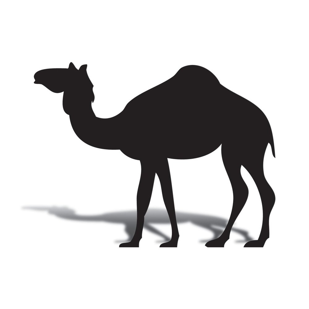 Andersons Life-Size Standing Camel Silhouette, Black Cardboard Prop for Nativity Scenes, Holiday Pageants, Arabian Nights Prom, Church Programs & Themed Party Photo Ops