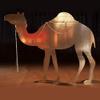 Andersons Life-Size Standing Camel Silhouette, Black Cardboard Prop for Nativity Scenes, Holiday Pageants, Arabian Nights Prom, Church Programs & Themed Party Photo Ops view 2