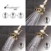 Speakman S-2255-PB Anystream Showerhead, 2.5 GPM, Polished Brass view 2