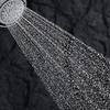 FLIPSIDE 01 SHOWERHEAD view 2