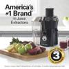 Hamilton Beach Juicer Machine, Big Mouth 3 Feed Chute for Whole Fruits and Vegetables, Easy to Clean, Centrifugal Extractor, Vegetable & Fruit Juicer, BPA Free, 800W Motor, Black view 2
