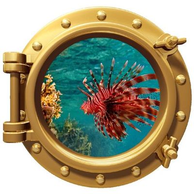 Stickit Graphix 12" PortScape Exotic Lionfish #1 Bronze Porthole Window Wall Decal Removable Fabric Vinyl Ocean Portal Wall Sticker Coral Reef Fish Under The Sea Underwater Wall Art Decor