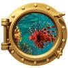 Stickit Graphix 12" PortScape Exotic Lionfish #1 Bronze Porthole Window Wall Decal Removable Fabric Vinyl Ocean Portal Wall Sticker Coral Reef Fish Under The Sea Underwater Wall Art Decor view 1