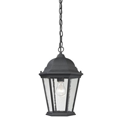 Elk Lighting 8101EH/65 Thomas Lighting Hanging, 10W X 10D X 14H, Black