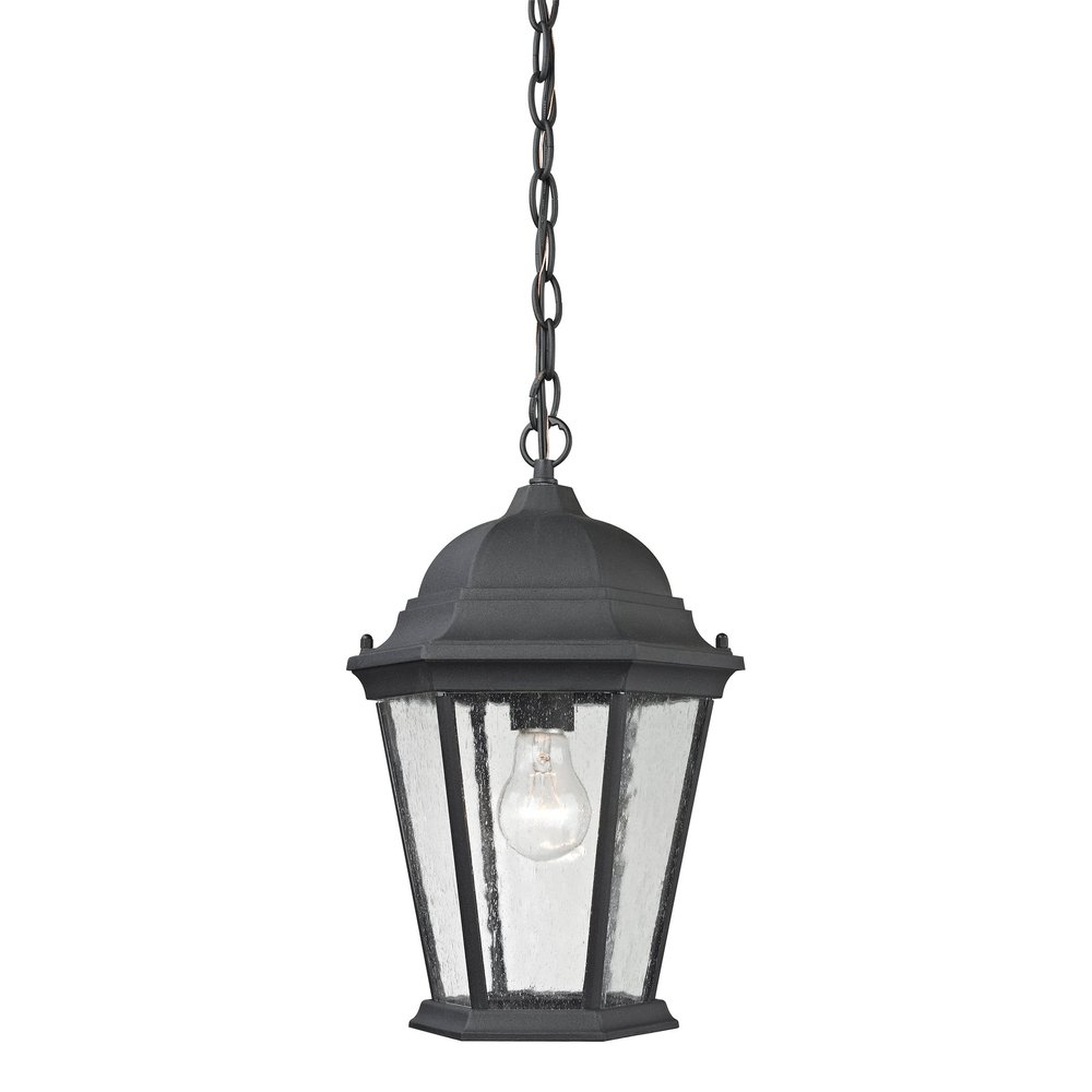 Elk Lighting 8101EH/65 Thomas Lighting Hanging, 10W X 10D X 14H, Black