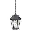 Elk Lighting 8101EH/65 Thomas Lighting Hanging, 10W X 10D X 14H, Black view 1