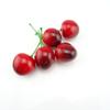 yueton Pack of 25 Artificial Lifelike Simulation Small Red Black Cherries Fake Fruit Model Home House Kitchen Party Decoration Desk Ornament view 3