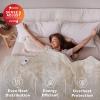 Sunbeam Electric Royal Posh Velvet Heated Blanket, 12 Heat Settings, 12-Hour Selectable Auto Shut-Off, Fast Heating, Warm and Lush, Champagne Color, Full, 84" x 72" view 4