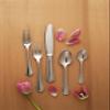 Fortessa Medici 18/10 Stainless Steel Flatware Tea/Coffee Spoon, Set of 12 view 2