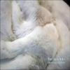 Fur Accents Throw Blanket Tissavel Mink Creamy Off White Faux Fur 3'x5' view 1
