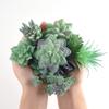 FEPITO 15 Pcs Artificial Succulent Plants Green Unpotted Faux Flower Succulents Mini Echeveria Picks Bulk Stems for Home Indoor Fairy Garden Decorations view 3