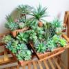 FEPITO 15 Pcs Artificial Succulent Plants Green Unpotted Faux Flower Succulents Mini Echeveria Picks Bulk Stems for Home Indoor Fairy Garden Decorations view 4