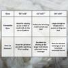 Tache White Ivory Super Soft Warm Polar Faux Fur with Sherpa Throw Blanket 63 x 87 view 3