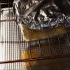 MEDca Foil Spillmat Oven Liner 18.5 X 15.5 Inch Set of 10 view 4