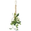Floristrywarehouse Artificial Silk Mistletoe Bunch 14 inch Kissing Plant view 1