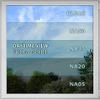 BDF NA05 Window Film Daytime Privacy and Sun Control Natural Black 5 (Very Dark) - 24in X 24ft view 4