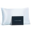 Fishers Finery 19mm 100% Pure Mulberry Silk Pillowcase, Quality Tested (Blue, Q) view 1