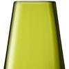 LSA FC19 Flower Colour Bud Vase H5.5in Olive view 4