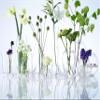 LSA FW15 Flower Grand Posy Vase H12.5in Clear view 4