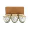 Hosley Set of 6 Metallic Antique Silver Glass Votive Tealight Farmhouse Candle Holder 2.75 Inch Diameter Ideal for Bridal Weddings Parties Events Spa Settings and Aromatherapy MINI Flower Pot O4 view 1