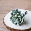 Neomark Tyoungg 4 Pack Flocked Green Artificial Succulent Cactus Plants Echeveria Unpotted Long Stem for Wreath Making Wedding Bouquet Making 3.33Wide x 5Tall view 2