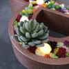Neomark Tyoungg 4 Pack Flocked Green Artificial Succulent Cactus Plants Echeveria Unpotted Long Stem for Wreath Making Wedding Bouquet Making 3.33Wide x 5Tall view 3