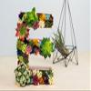 Neomark Tyoungg 4 Pack Flocked Green Artificial Succulent Cactus Plants Echeveria Unpotted Long Stem for Wreath Making Wedding Bouquet Making 3.33Wide x 5Tall view 4