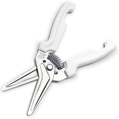 Jero Stainless Steel Kitchen Shears with Holder - Perfect for Herbs, Floral Trimming and Kitchen Use - Made in Portgual