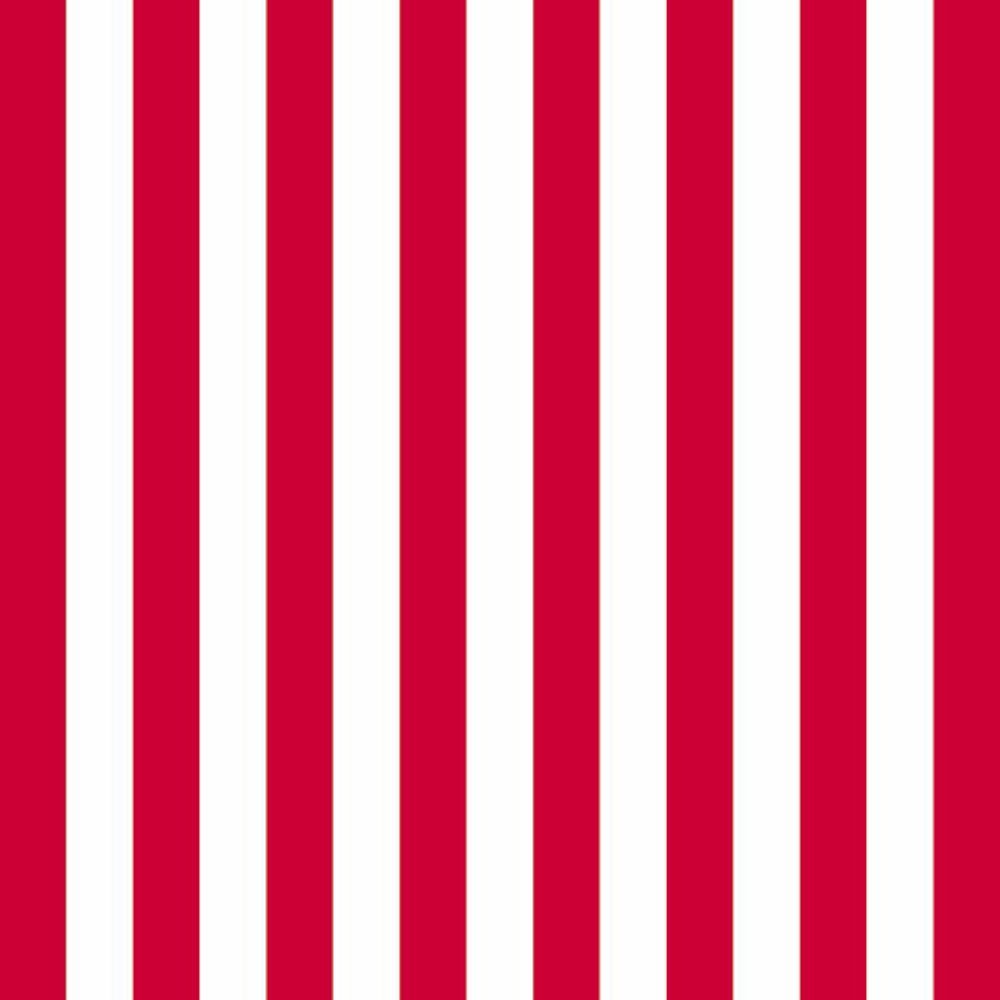 Luxury Ambiente Red & White Striped Napkins