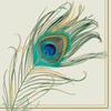 IHR Ideal Home Range Party Napkins Disposable 3-Ply Paper Lunch Napkin Pack, 6.5" x 6.5", Peacock Feather, 20-Count view 1