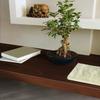 d-c-fix DC Fix 346-0388 Decorative self-Adhesive Film, Brown view 3