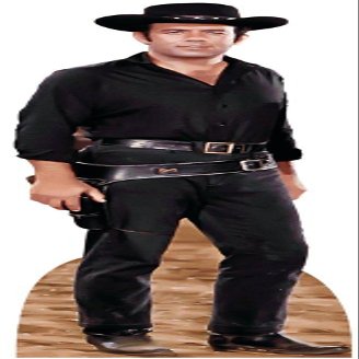 Bonanza ADAM CARTWRIGHT Pernell Roberts LIFESIZE Cardboard Standup Standee Cutout Poster Figure Display Prop Cowboy Western