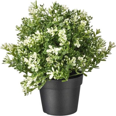 IKEA Artificial Potted Plant, Thyme, 9.5 Inch (1)