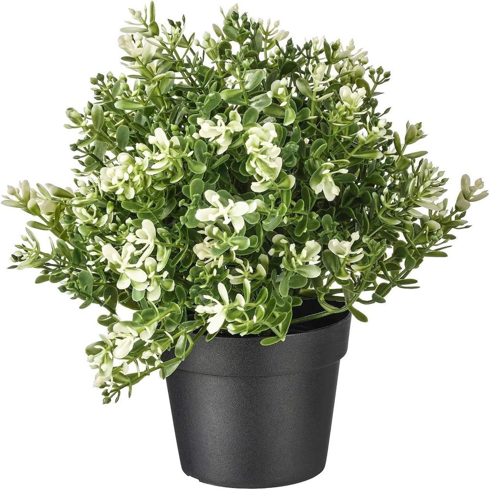 IKEA Artificial Potted Plant, Thyme, 9.5 Inch (1)