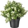 IKEA Artificial Potted Plant, Thyme, 9.5 Inch (1) view 1