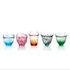 Tsugaru Biidoro Mini Glass Set Glass Five Different by Aderia view 3