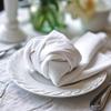 COTTON CRAFT White Dinner Napkins - Set of 12 Classic Pure Cotton Soft Cloth Napkins - Durable Washable Everyday Lunch Brunch Table Restaurant Wedding Party Gift Reusable Napkin - 17 x 17 inches view 3