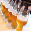 Spiegelau Beer Classics IPA Glass, Set of 6 view 4